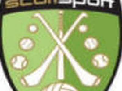 Cumann na mBunscol Tir Eoghain - Tyrone Primary Schools GAA