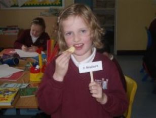 P4 Science Investigations 